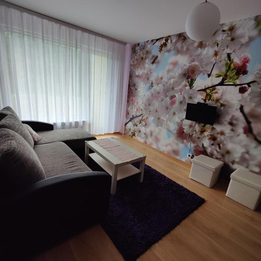 Dainai Apartament Šiauliai 외부 사진